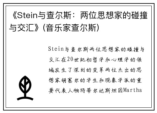 《Stein与查尔斯：两位思想家的碰撞与交汇》(音乐家查尔斯)